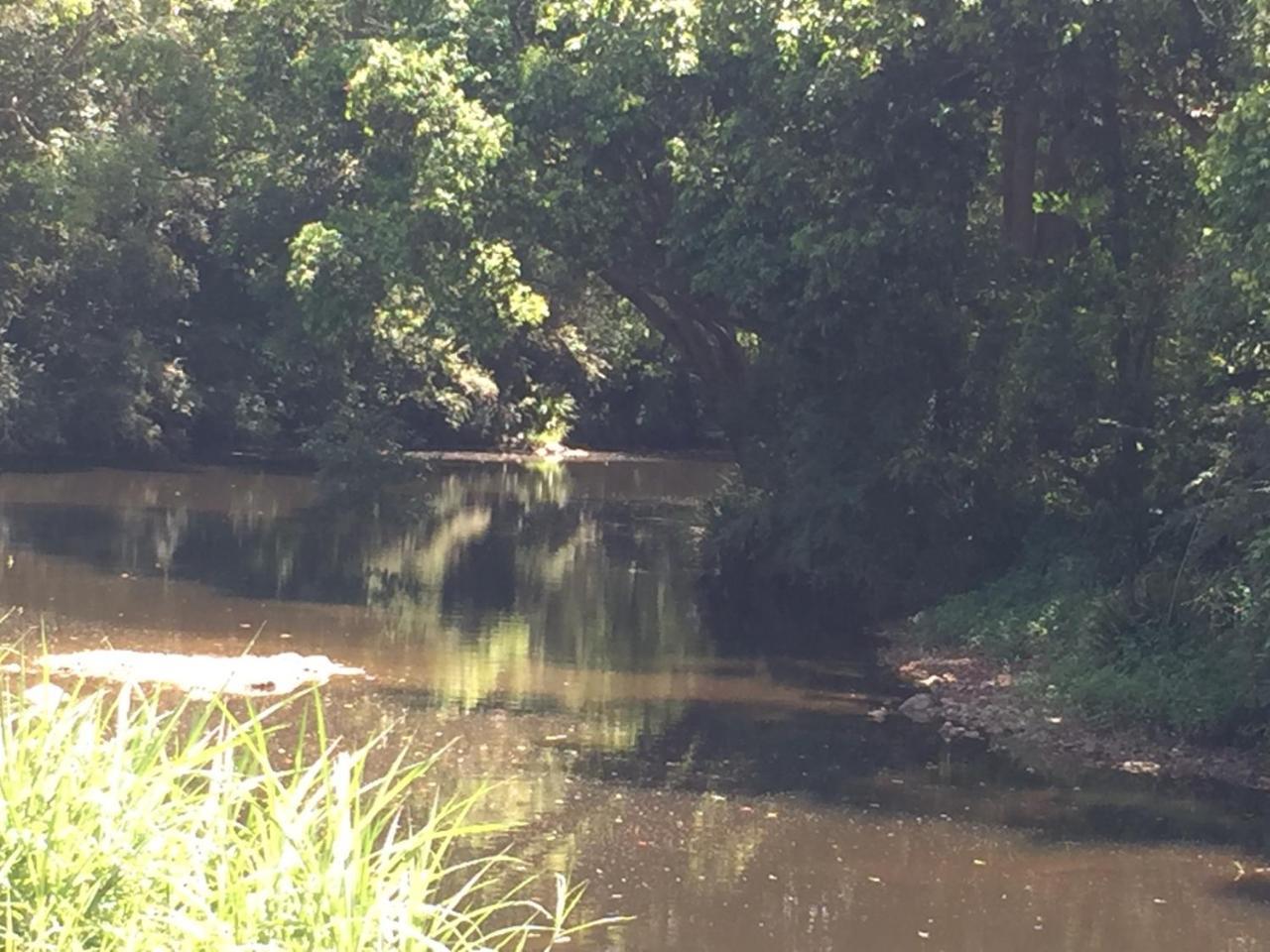 Yandina Caravan Park Esterno foto